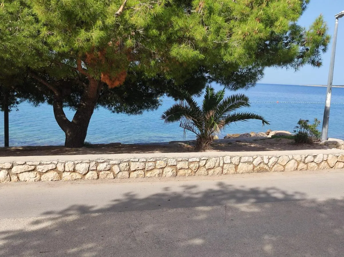 Dolphin View With A Pool By The Beach Mandre Apartment