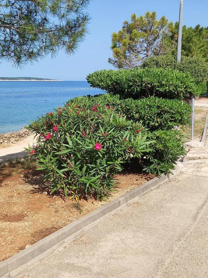 Dolphin View With A Pool By The Beach Mandre